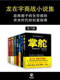 龙在宇商战小说集